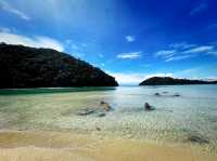 อุทยานแห่งชาติหมู่เกาะสุรินทร์ ปะการังยืนหนึ่ง 