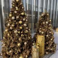 K11 Musea 天台花園聖誕市集🎄