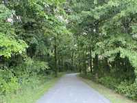 Beech Woodland Trail - Rocky Fork Metro Park