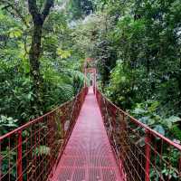 Monteverde Cloud Forest Reserve