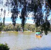 A wonderful park