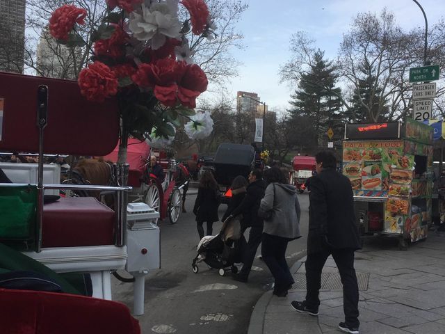 Riding a horse  in Central Park 
