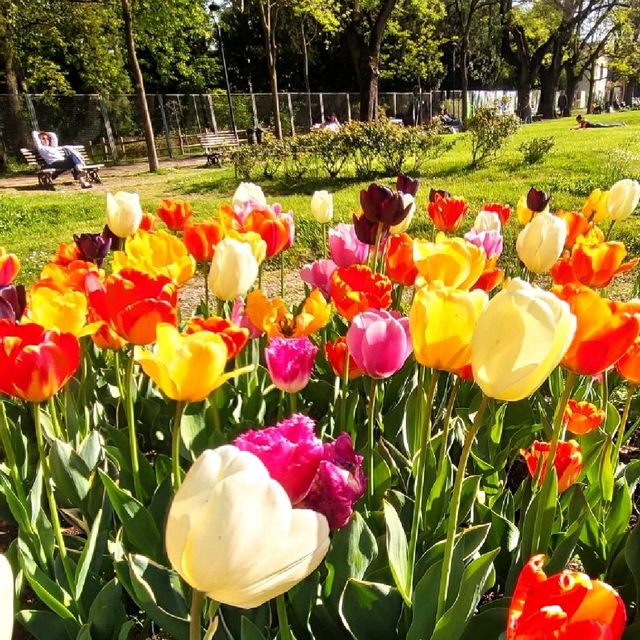 Giardini ducali of Modena, Italy