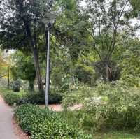 The Park of Vladimir Nazor 공원!
