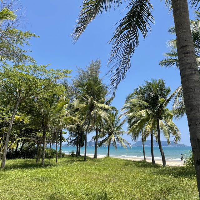 Lovely quiet beach ~Coconut Dream Corridor 