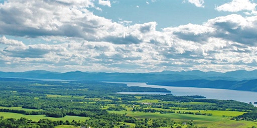 Alison Prine: Words in the Woods | Mount Philo