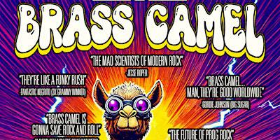 BRASS CAMEL - Live at The Hub on Martin | The Hub on Martin