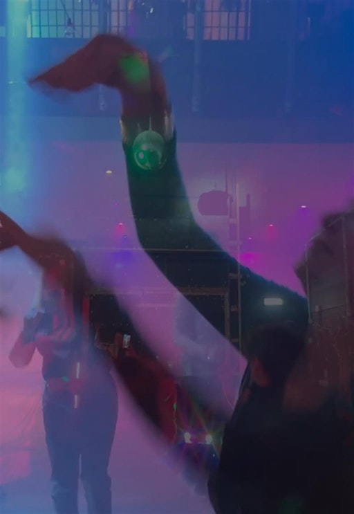 Euphoric Power Hour | Craws nest collective