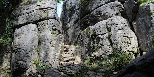 Walking the Landscape: The Arnside to Beetham Coffin Route | Arnside