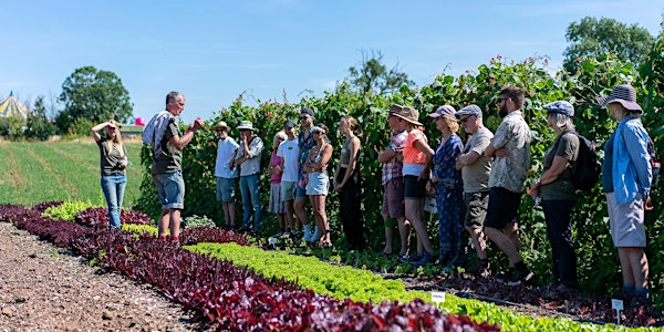 Summer Community Farmer Day - 14th June | The Community Farm