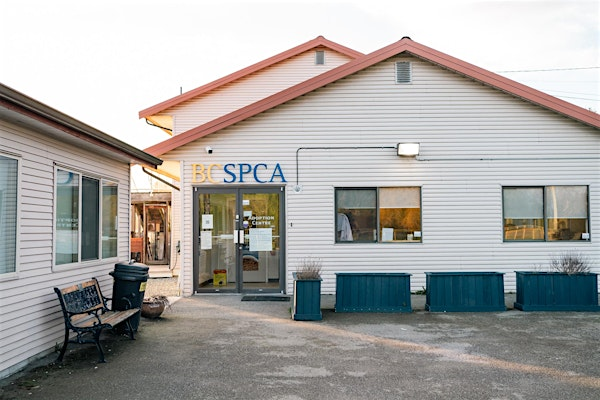 Surrey BC SPCA Centre Tour | BC SPCA Surrey