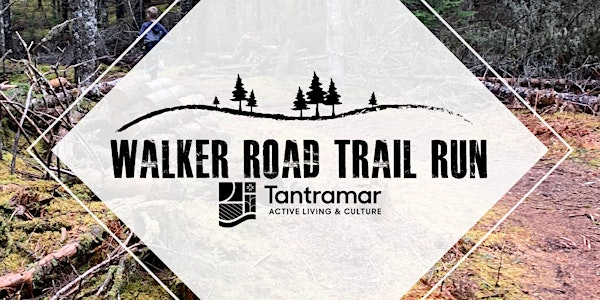 Walker Road Trail Run 2025 | Tantramar Outdoor Club Trailhead