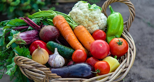 Summer Bounty | 300 N Pioneer St