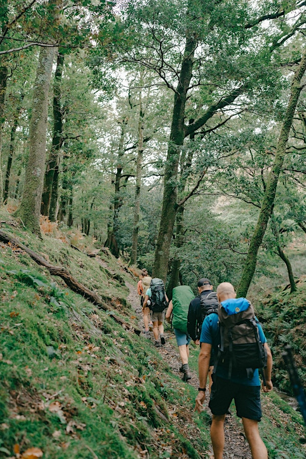Creative Nature Connection Exploration Day | Grasmere