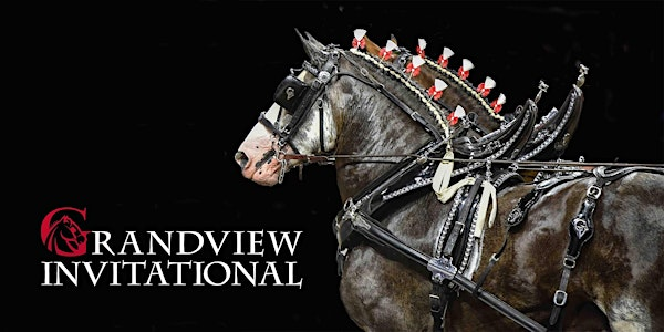 Grandview Invitational 2026 | Florida Horse Park