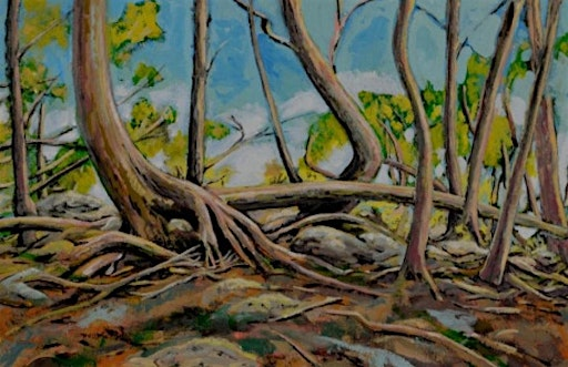 Art & Adventure Camp- Forest Friends- 5-10 yrs- July 6-9 | Hornby Island Arts Centre