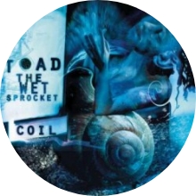 Toad the Wet Sprocket, Augustana Arvada Concert Tour 2026｜August 11 | Outdoor Amphitheater at Arvada Center