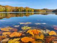 Radnor Lake