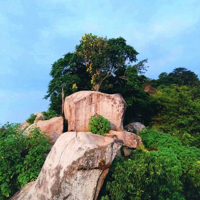 SJ88 HILL : JEMBER