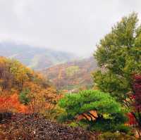 가을의 단풍명소 ‘화담숲’