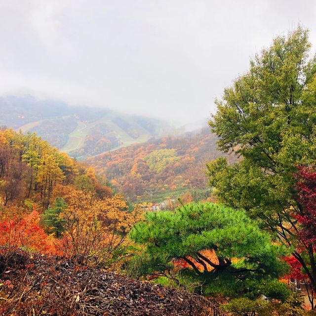 가을의 단풍명소 ‘화담숲’