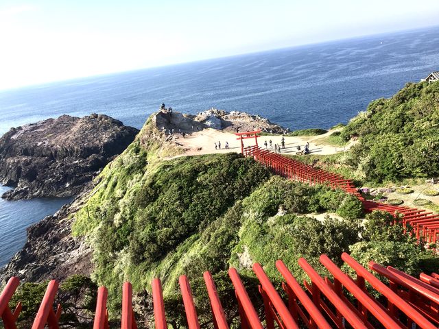 【山口】元乃隅神社には鳥居がたくさん！