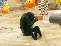 名古屋【東山動植物園】
