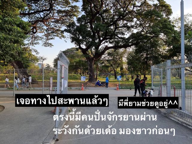 รีวิวการเดินทาง : มาสวนป่าเบญจกิติ(ใหม่)
