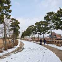겨울에도 좋아요 소래습지생태공원