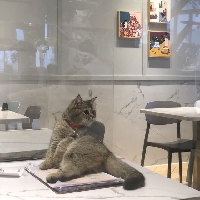 觀塘工廈高質選擇超多cafe😍🤪