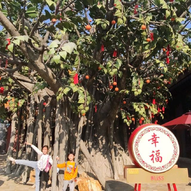 🏞️昂坪大澳親子一日遊 ⭐搭纜車+睇牛+小艇遊⭐