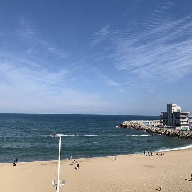 강릉 해변은 경포해변🥺💙