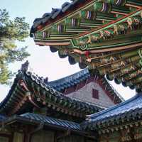 화려한 조선 궁궐로 타임머신을 타고 떠나다, 창덕궁!