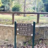 河背水塘，香港既嵐山