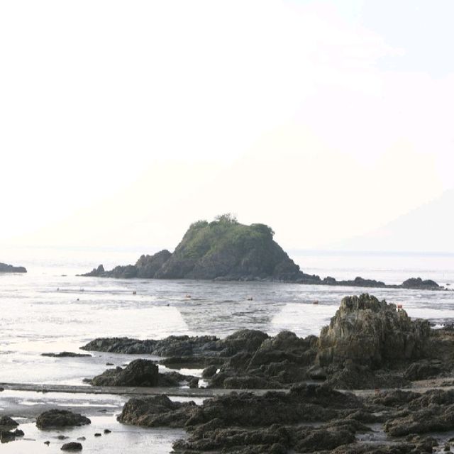 영광 백수해안