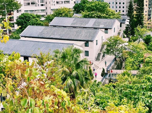 饒宗頤文化館展覽