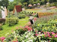 花悅滿城花卉展覽