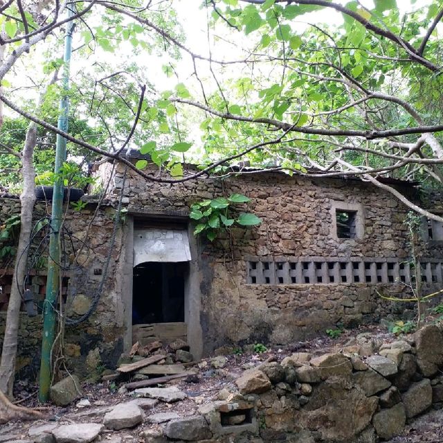 初级行山路線🚶‍♀️🚶‍♀️🚶‍♀️