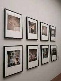 피크닉 전시관에서 관람하는 사울레이터 (Saul Leiter)