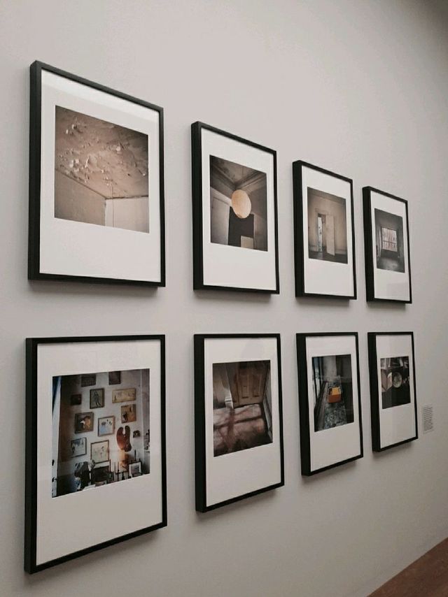 피크닉 전시관에서 관람하는 사울레이터 (Saul Leiter)