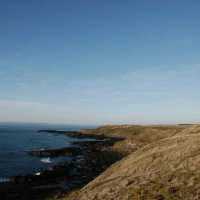 A JOURNEY TO NOBBIES CENTRE, PHILIP ISLAND