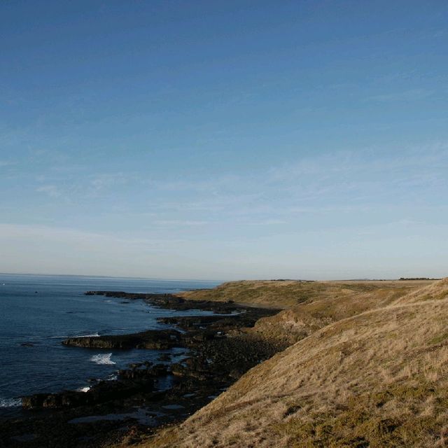 A JOURNEY TO NOBBIES CENTRE, PHILIP ISLAND