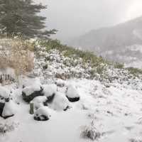 エメラルドの雪見温泉
