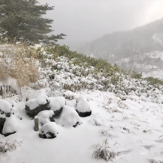 エメラルドの雪見温泉