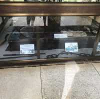Harrowing Genocide memorial at Cambodia 