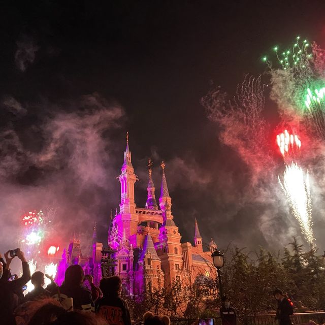 Magical Day in Shanghai Disney