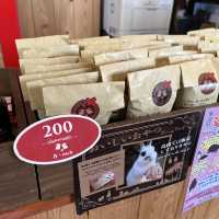 【広島】うさぎの島🐇大久野島への玄関口！忠海港