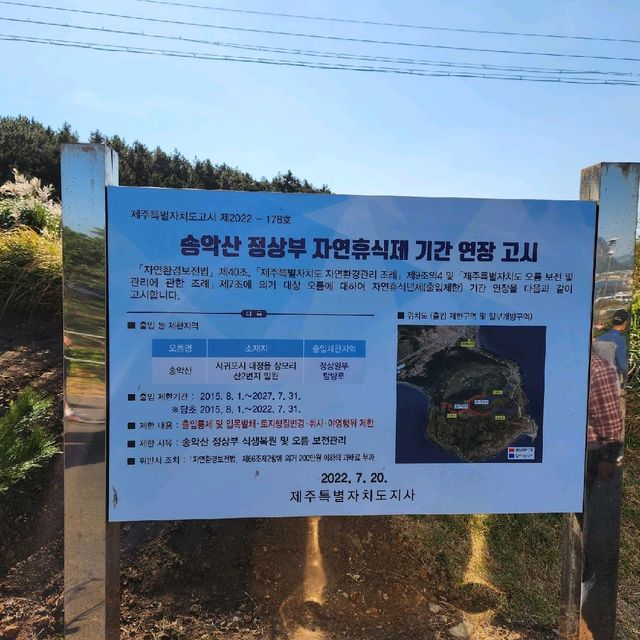 제주도 둘레길 필수코스는 역시 송악산이 압도적!!