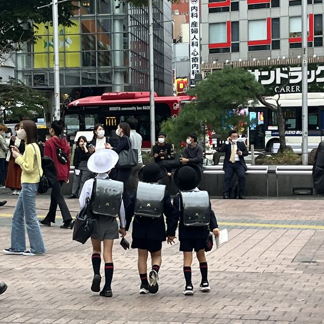 도쿄 시부야 메인 스트리트 “도겐자카”🚦