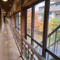 岩手県！お湯と紅葉を求めて大沢温泉へ
